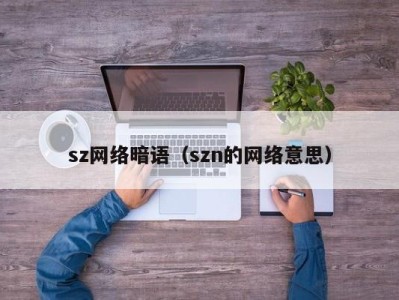 西安sz网络暗语（szn的网络意思）