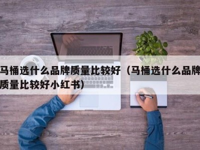 西安马桶选什么品牌质量比较好（马桶选什么品牌质量比较好小红书）